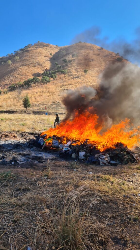 FGR INCINERA MÁS DE 74 KILOS DE NARCÓTICO EN NAYARIT Noticias de la