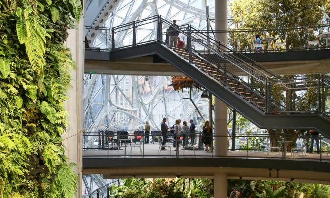 El nuevo edificio de Amazon, una esfera con una selva asombrosa en su ...