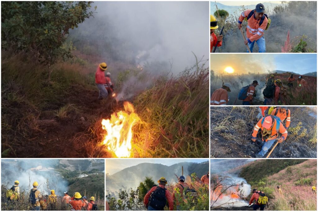 Trabajo conjunto mitiga incendio en el Cerro de San Juan en Tepic ...